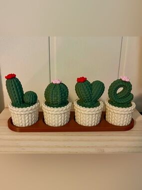 Cute 3d printed Love Cactus trinket / stash / jewelry box set